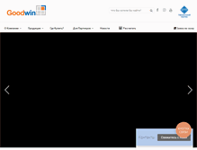 Tablet Screenshot of goodwin.ua